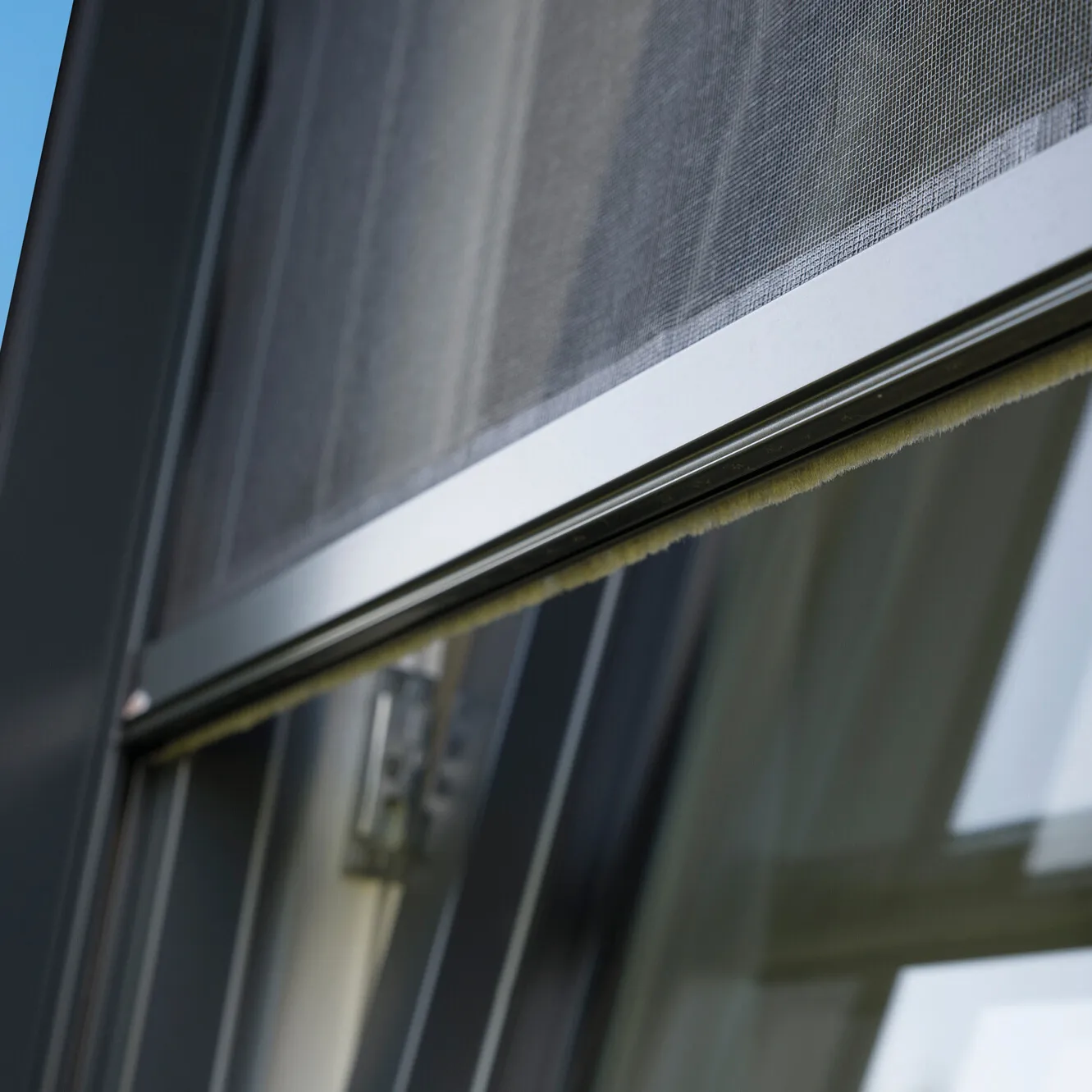 Insektenschutz Rollo für Fenster